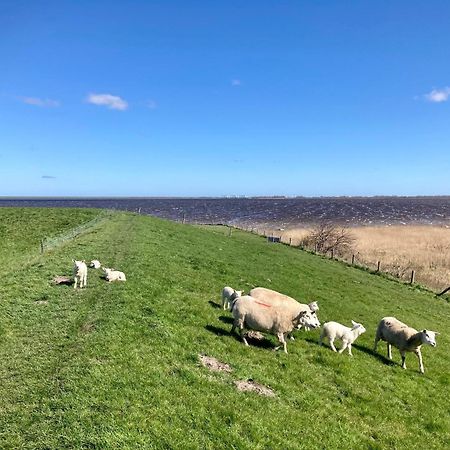 Natascha 6Pers House Near Lauwersmeer National Park أنيوم المظهر الخارجي الصورة